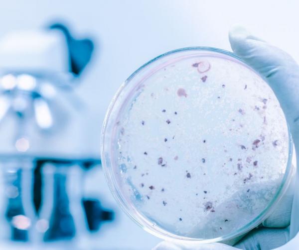 Si può misurare il Pulito?